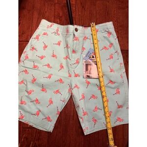 Plugg Mens Flamingo Print Stretch Shorts Turquoise Pink P435684 Size 34 NWT